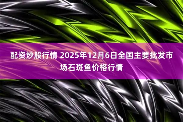配资炒股行情 2025年12月6日全国主要批发市场石斑鱼价格行情