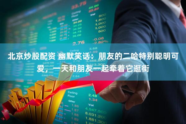 北京炒股配资 幽默笑话：朋友的二哈特别聪明可爱，一天和朋友一起牵着它逛街