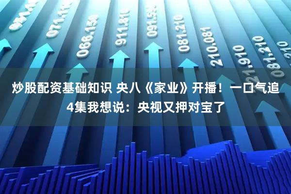 炒股配资基础知识 央八《家业》开播！一口气追4集我想说：央视又押对宝了